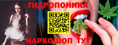 дмт Пенза