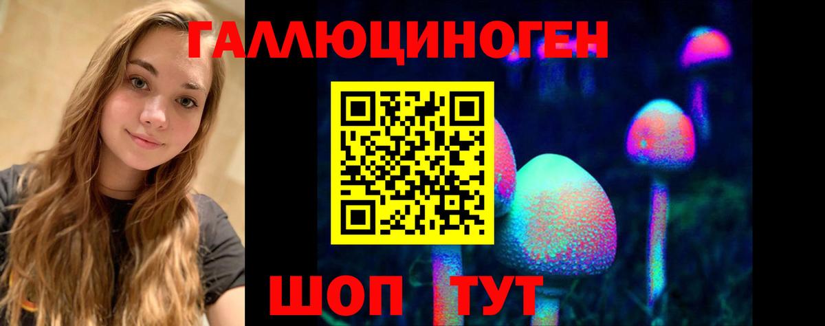 Галлюциногенные грибы Psilocybine cubensis  Вход с VPN  как найти наркотики  Тамбов  Галлюциногенные грибы MAGIC MUSHROOMS 